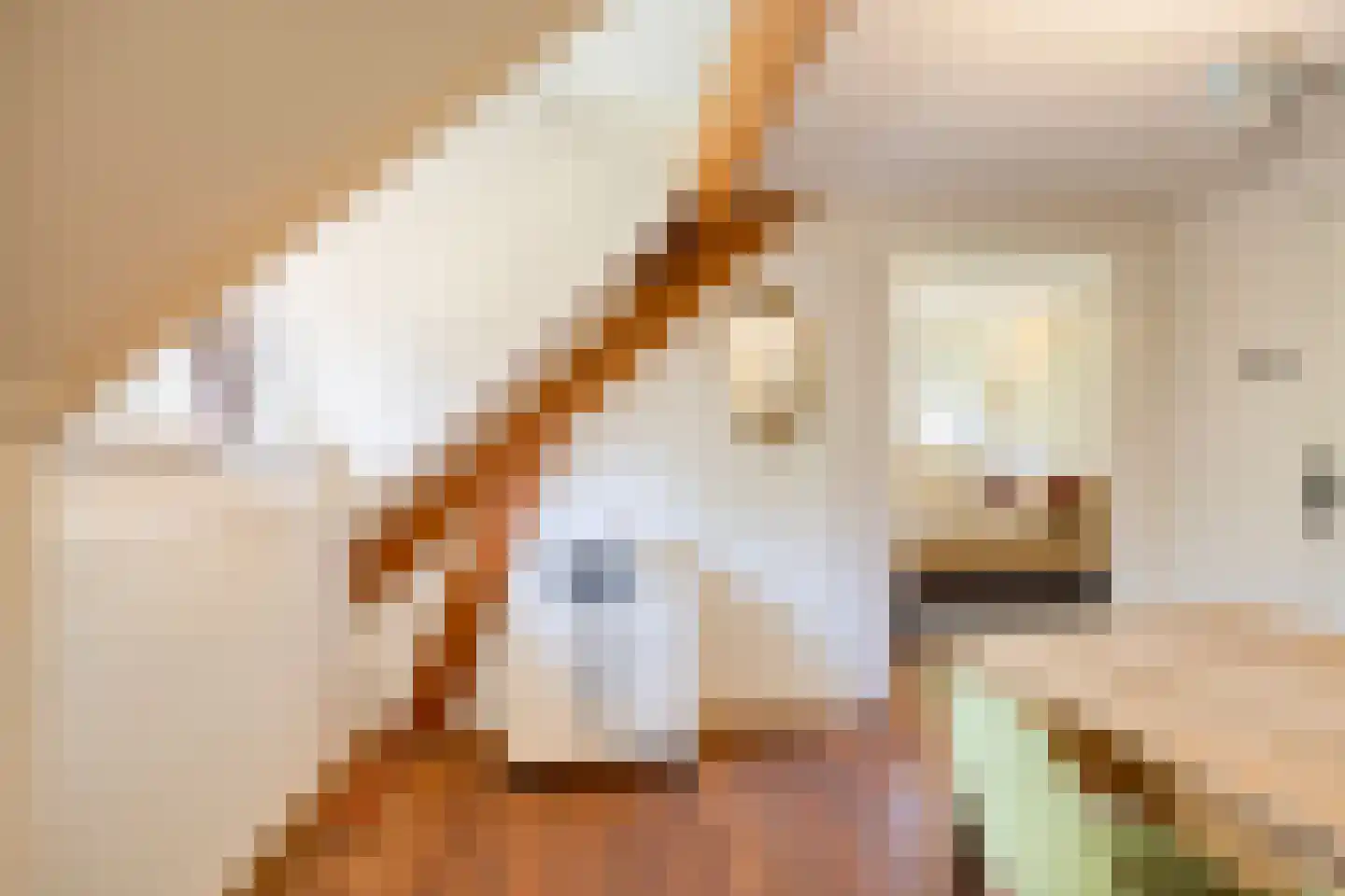 Lochemseweg 39 Epse thumbnail 34