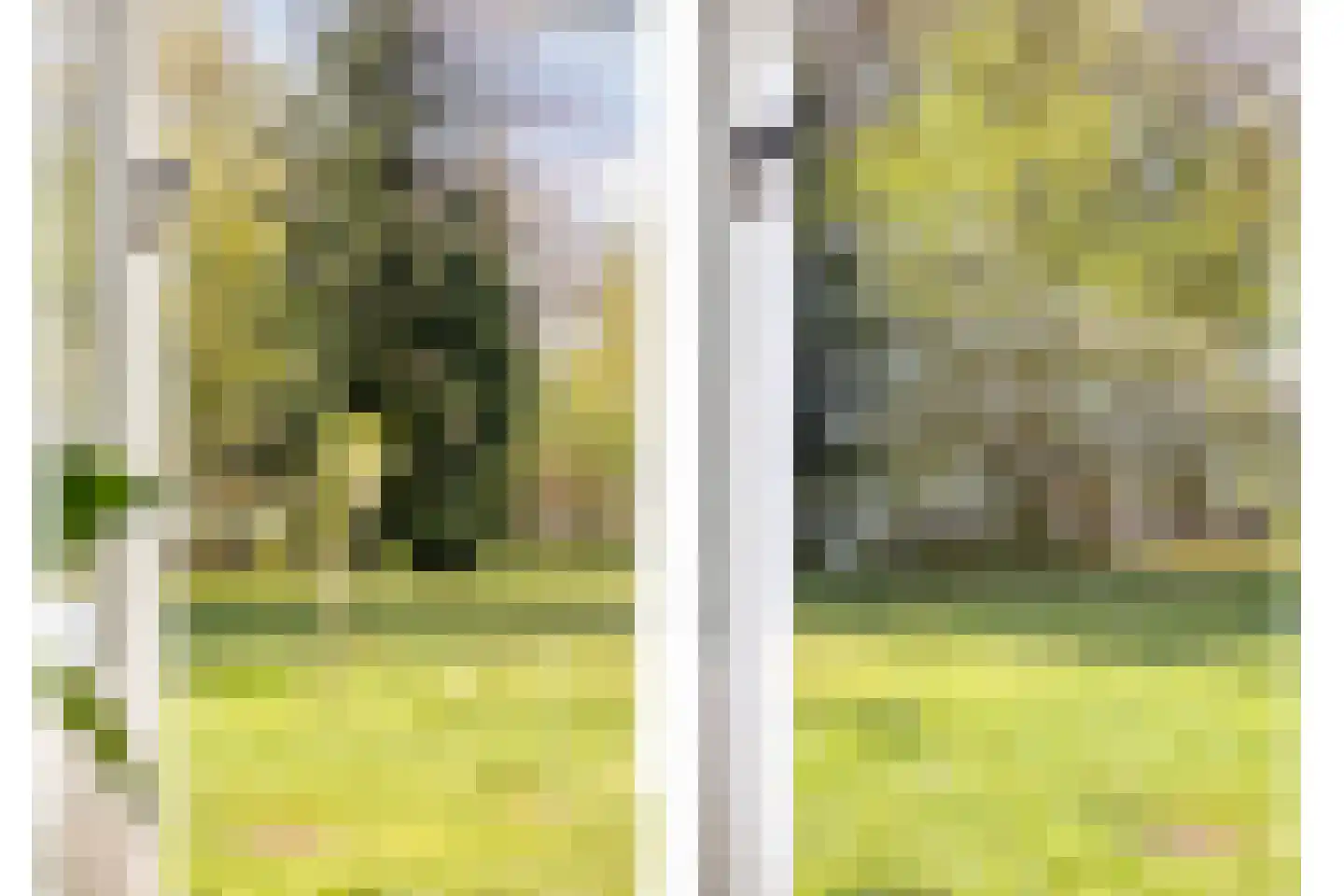 Lochemseweg 39 Epse thumbnail 4