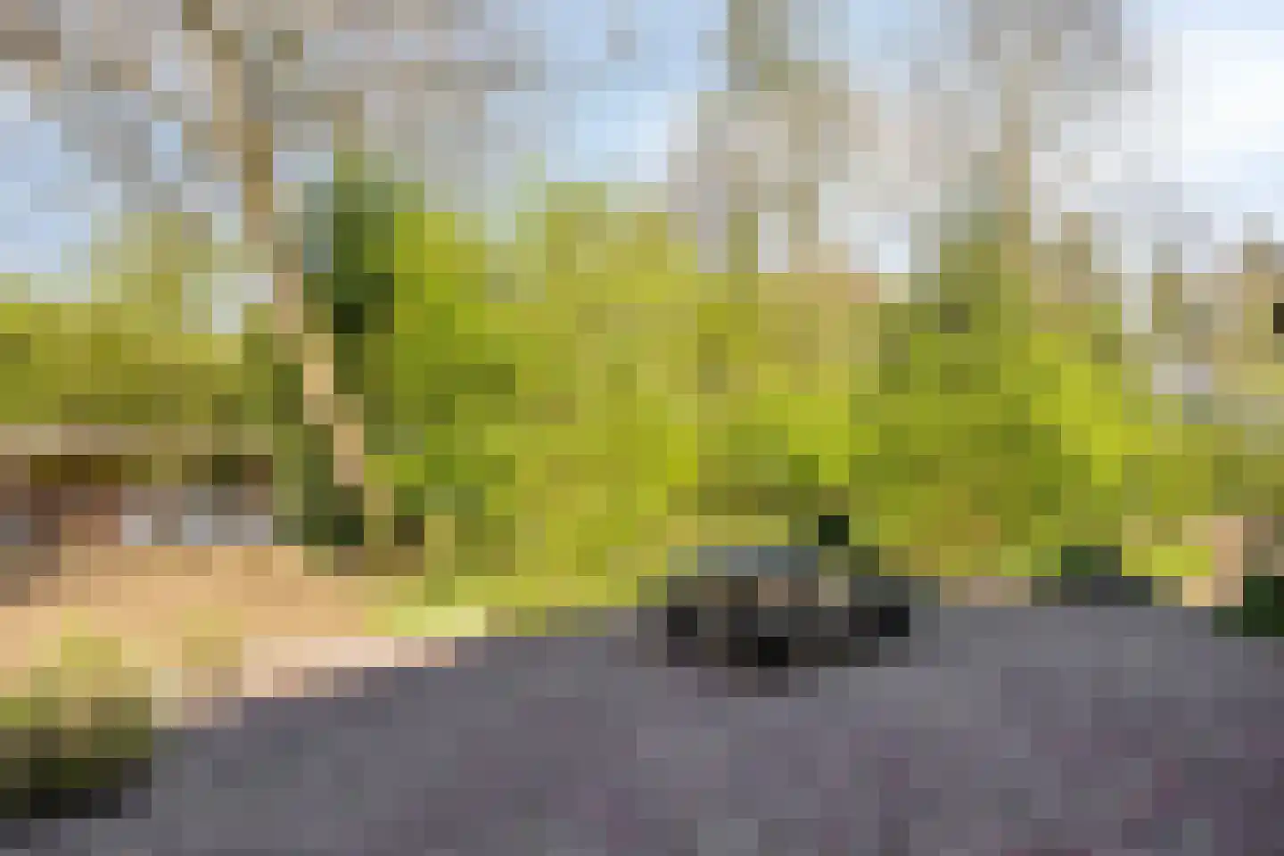 Lochemseweg 39 Epse thumbnail 41