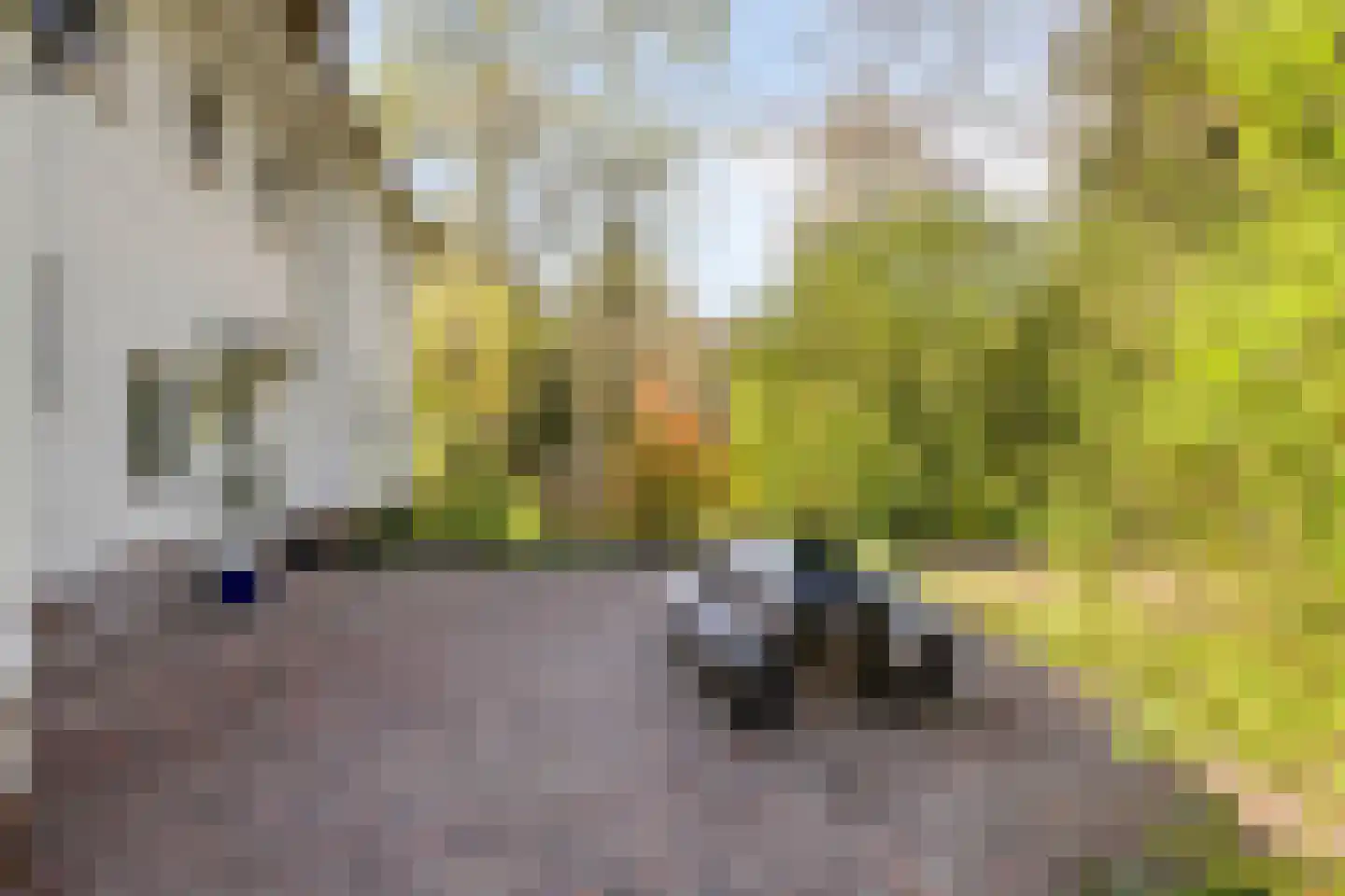 Lochemseweg 39 Epse thumbnail 42