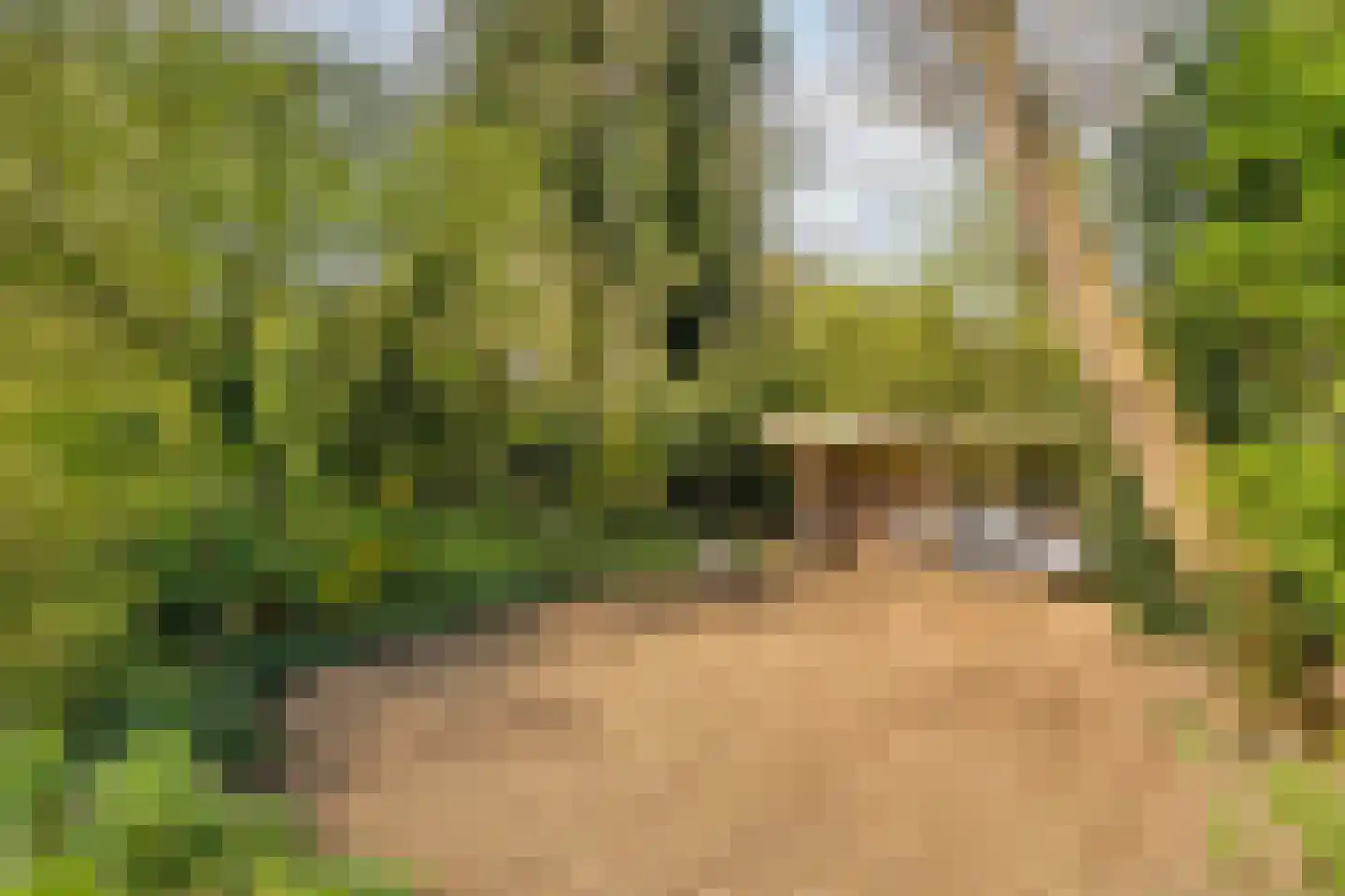 Lochemseweg 39 Epse thumbnail 43