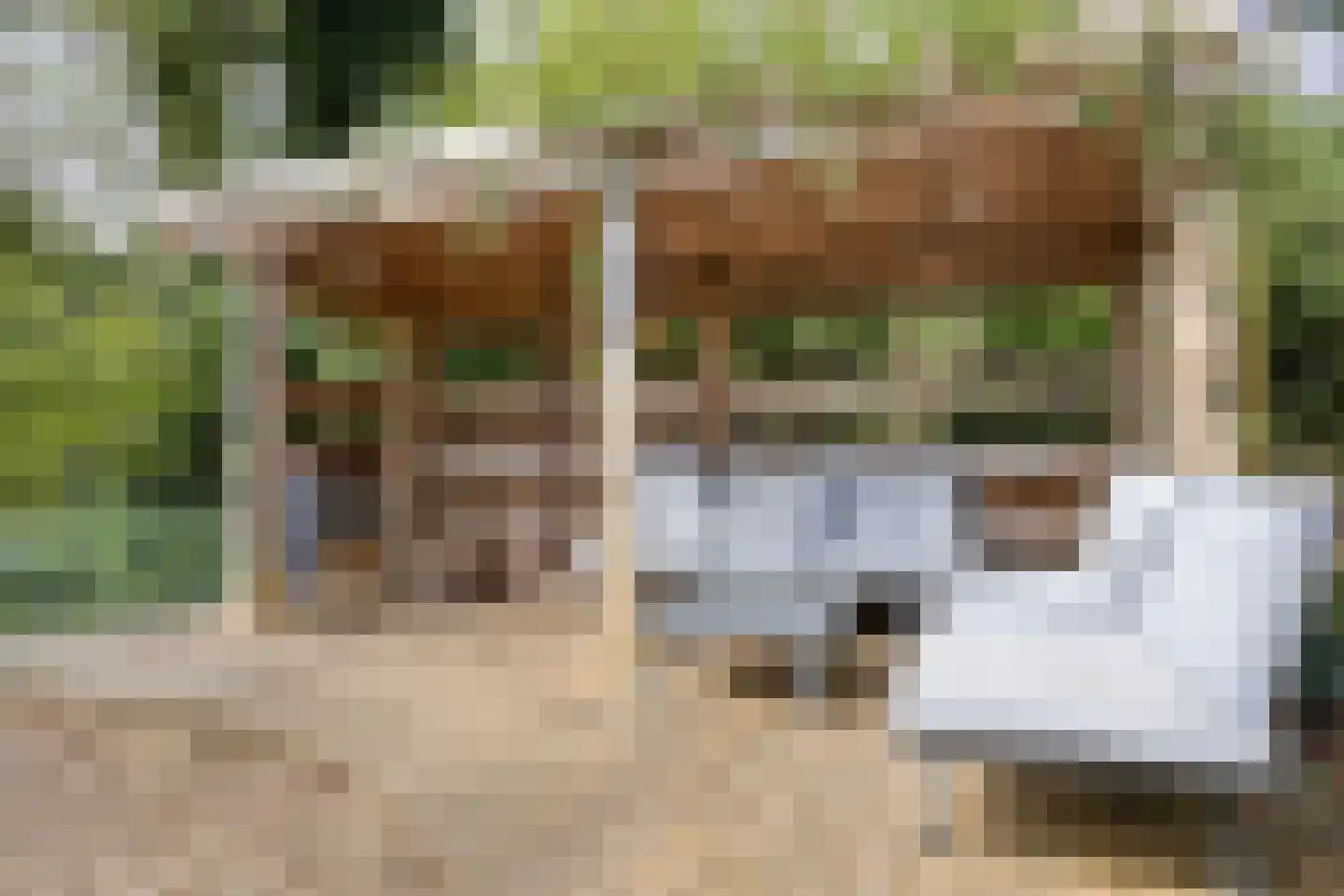 Lochemseweg 39 Epse thumbnail 44