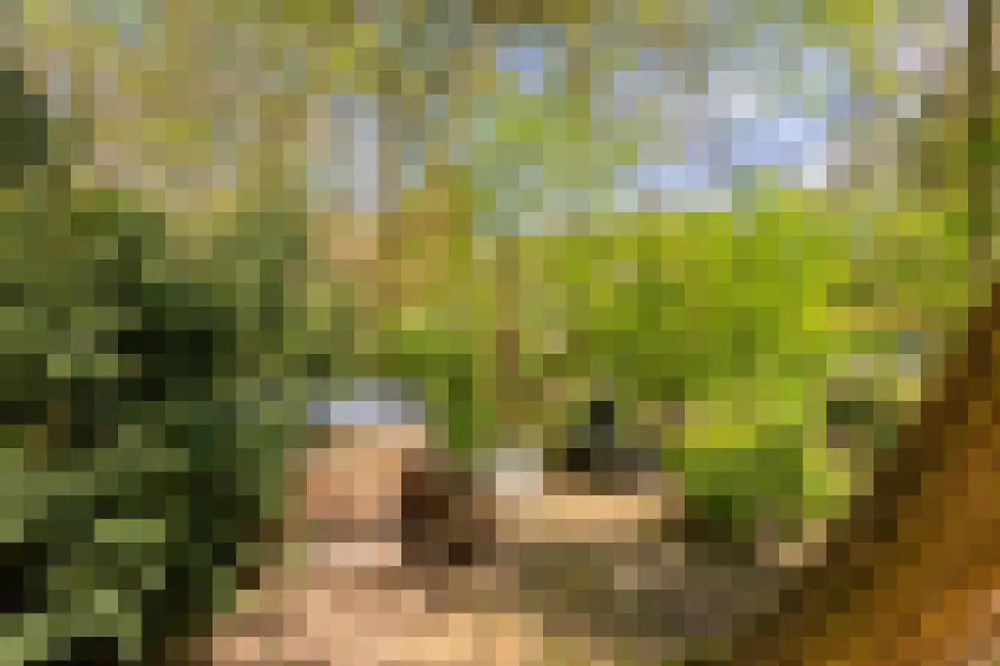 Lochemseweg 39 Epse thumbnail 45