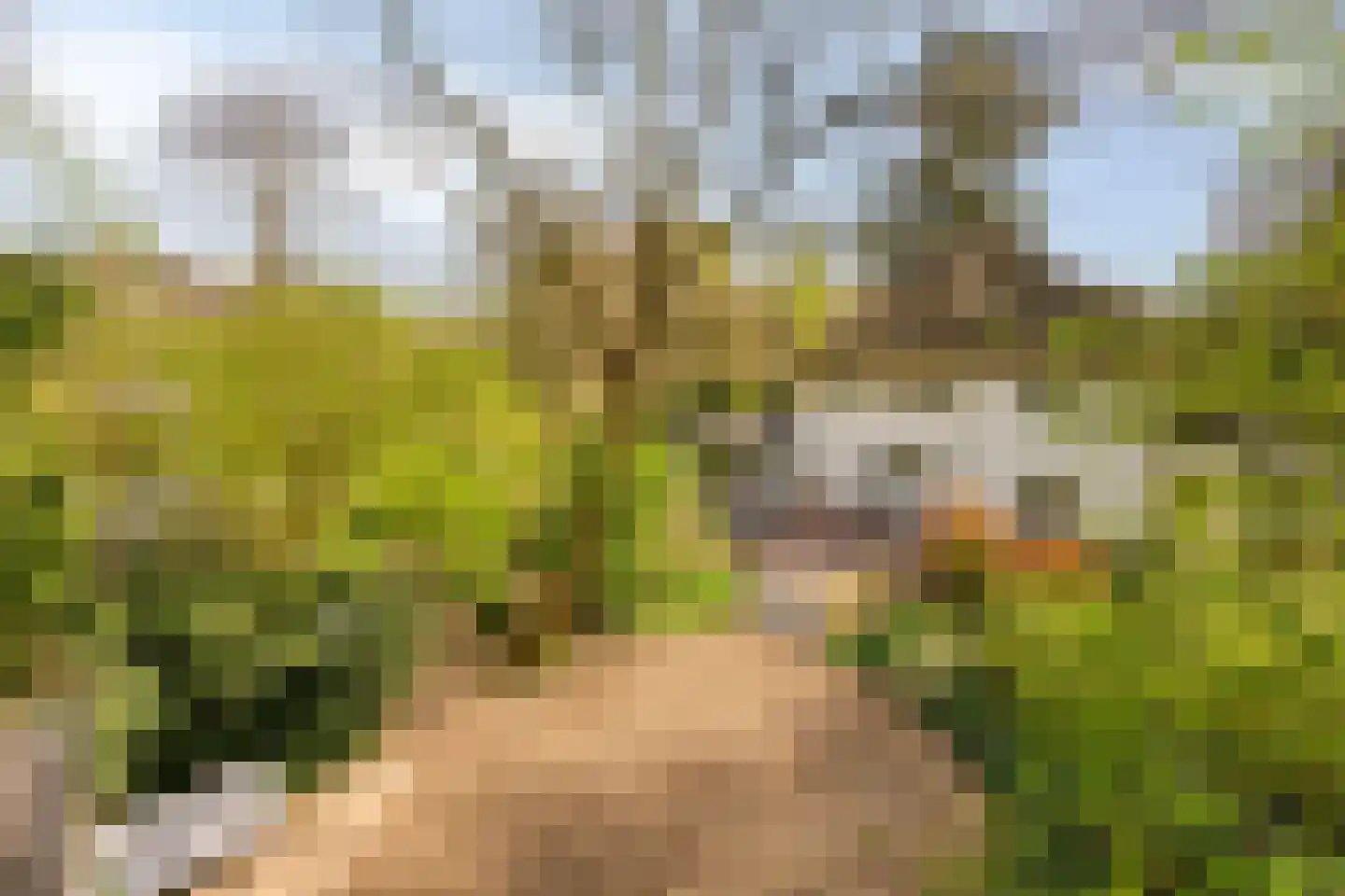Lochemseweg 39 Epse thumbnail 46