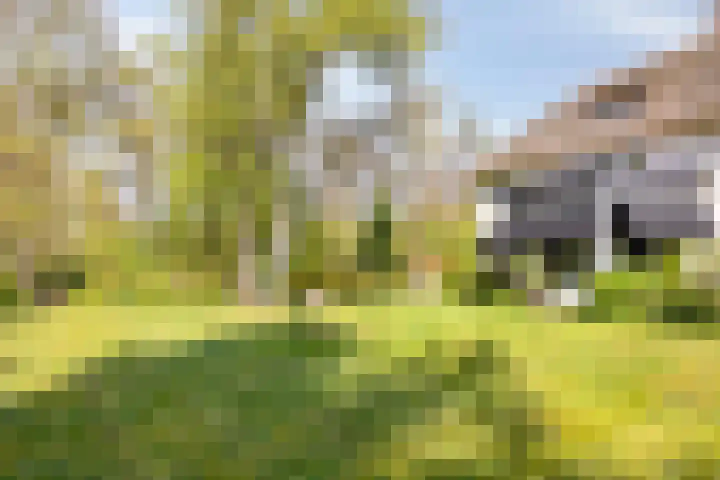 Lochemseweg 39 Epse thumbnail 49