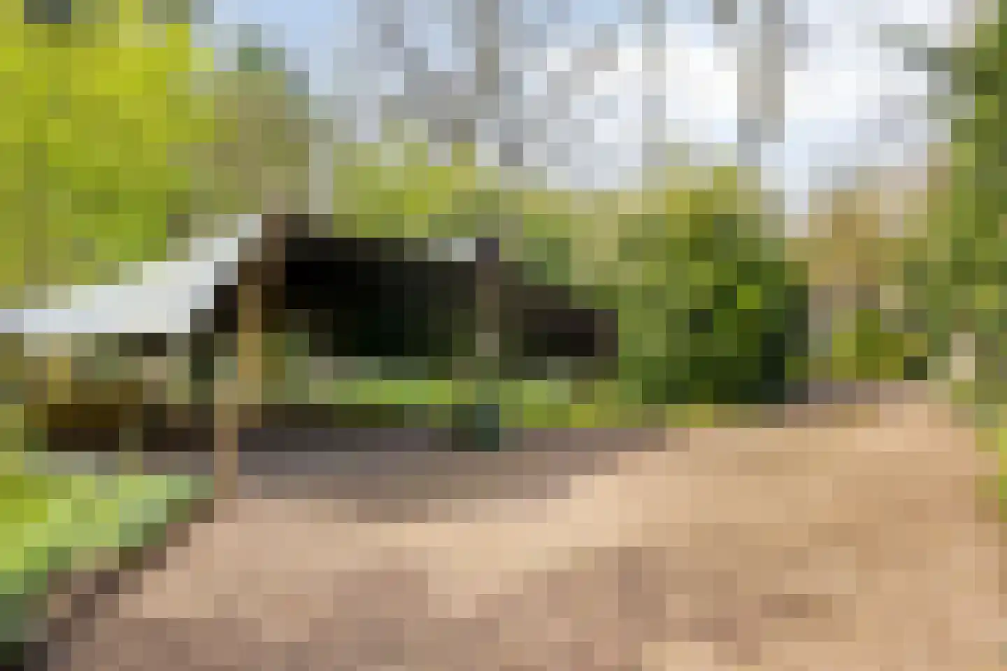 Lochemseweg 39 Epse thumbnail 50