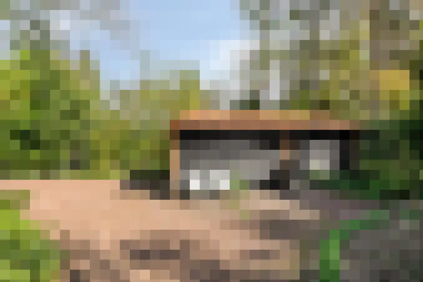 Lochemseweg 39 Epse thumbnail 53