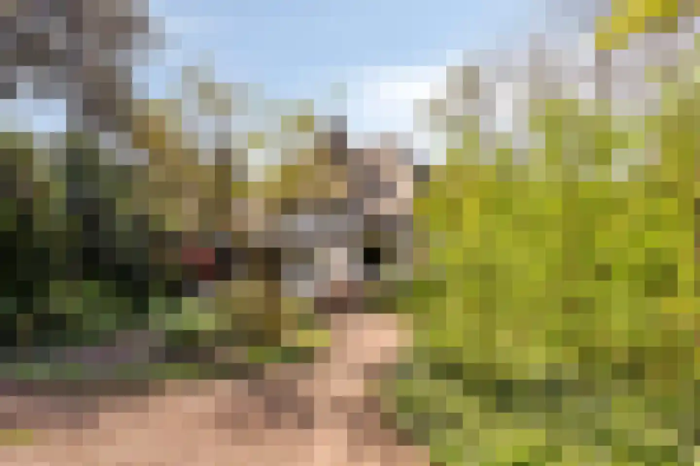 Lochemseweg 39 Epse thumbnail 55