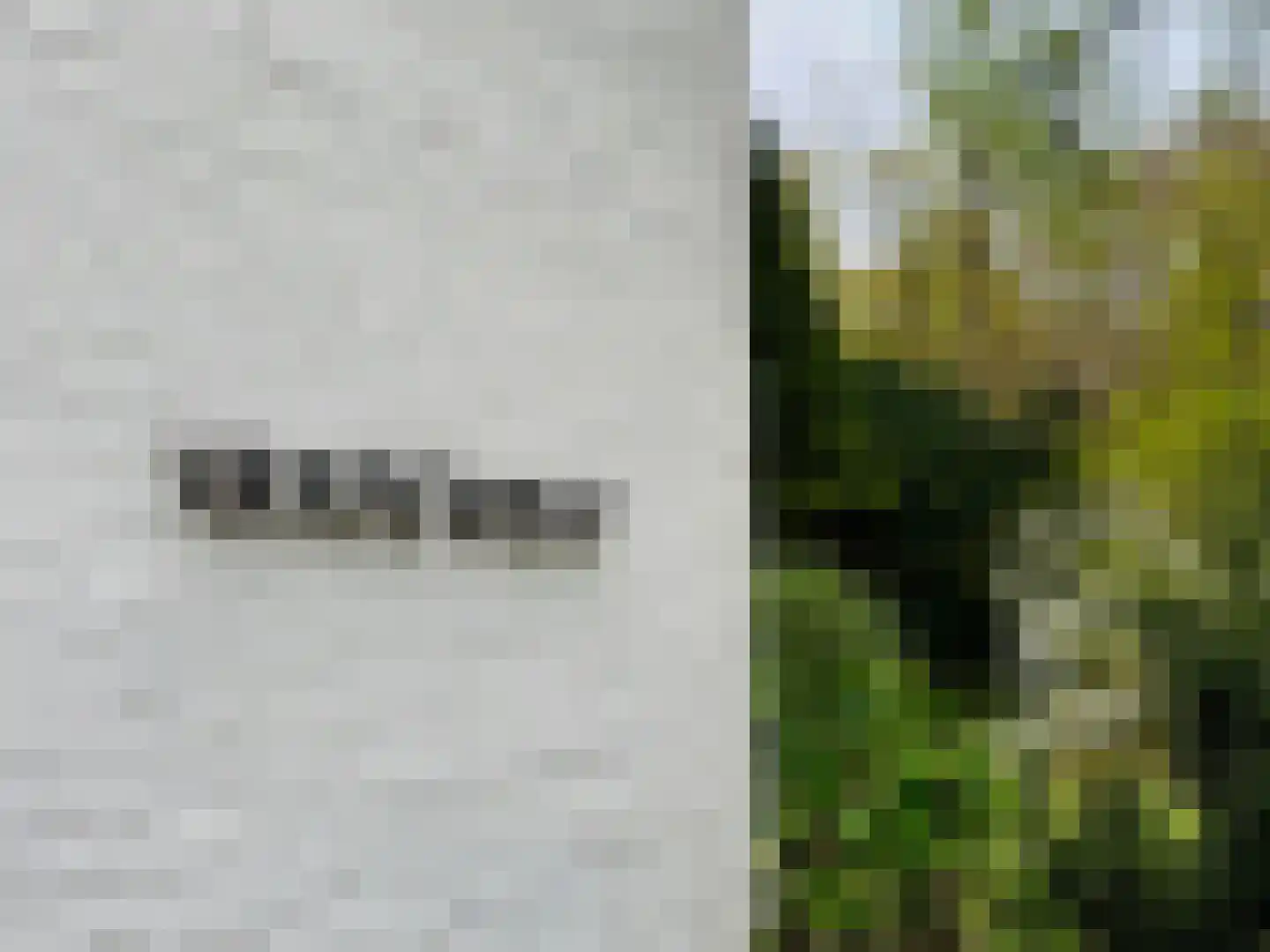 Lochemseweg 39 Epse thumbnail 56