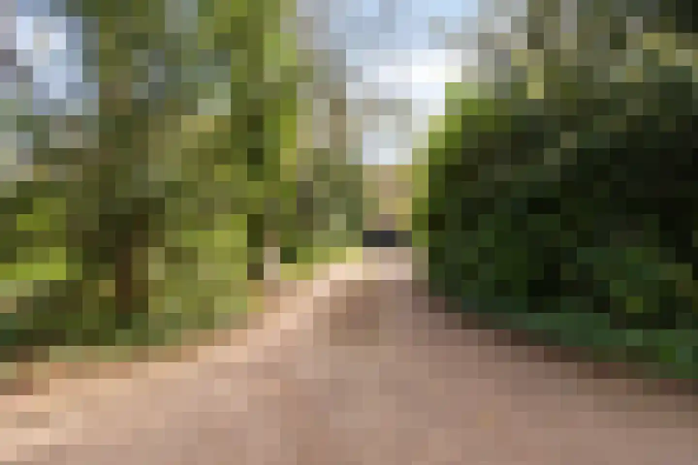 Lochemseweg 39 Epse thumbnail 58