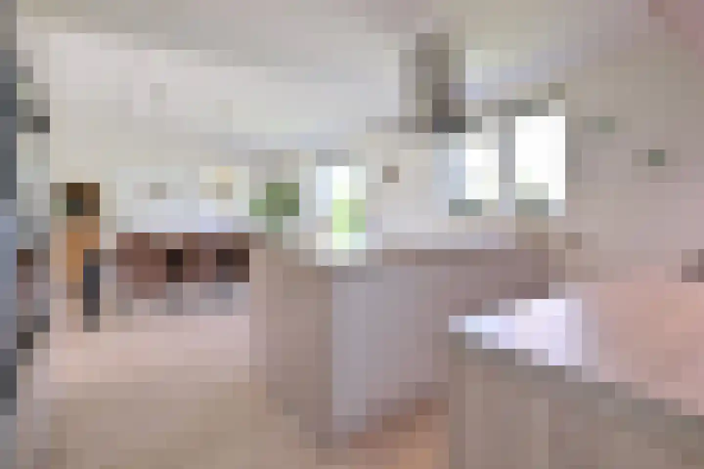 Lochemseweg 52 Epse thumbnail 12