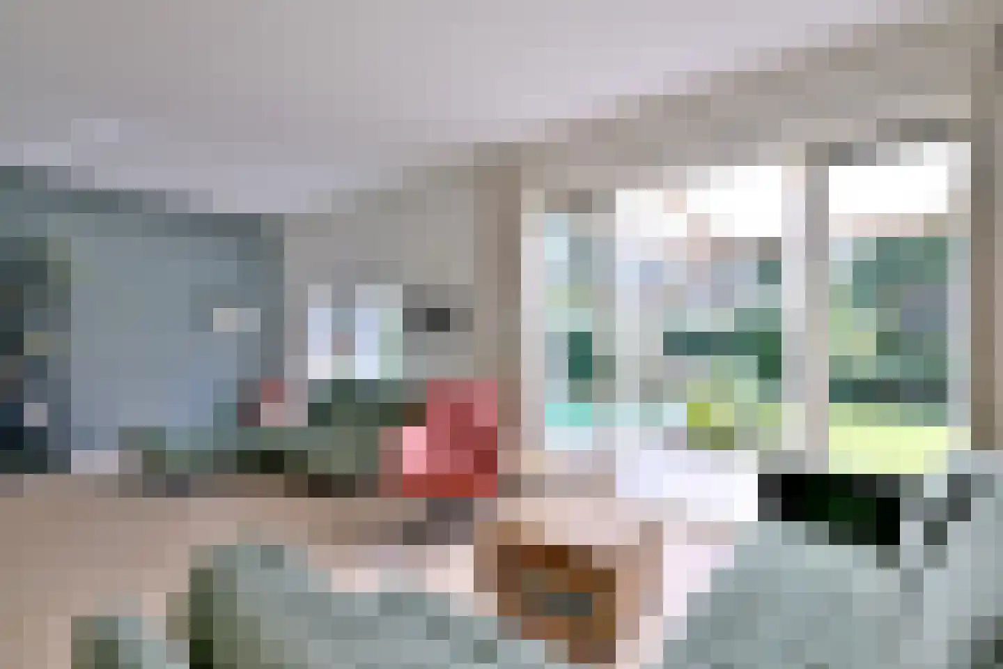 Lochemseweg 52 Epse thumbnail 18