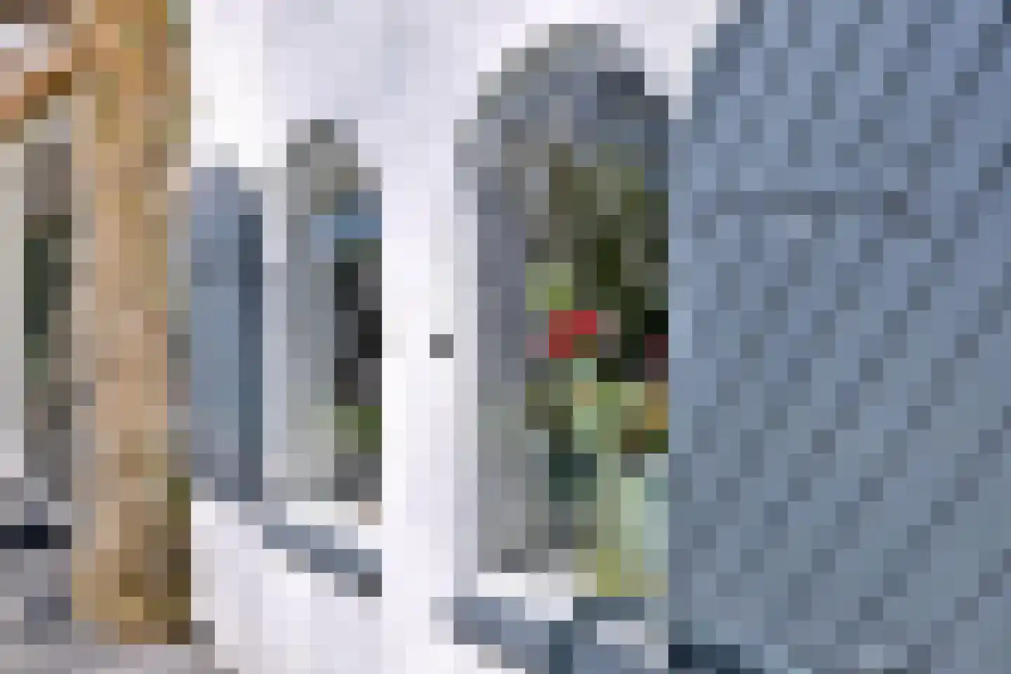 Lochemseweg 52 Epse thumbnail 23