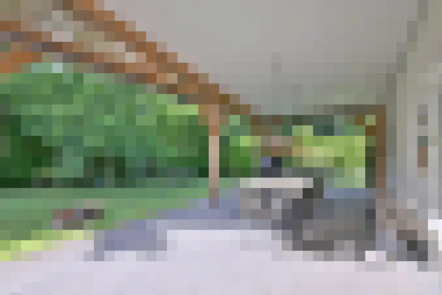 Lochemseweg 52 Epse thumbnail 28