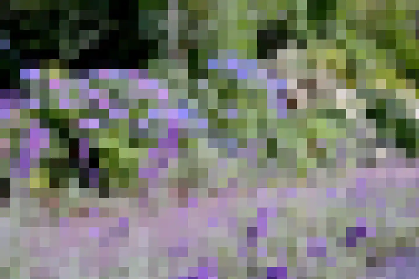 Lochemseweg 52 Epse thumbnail 30