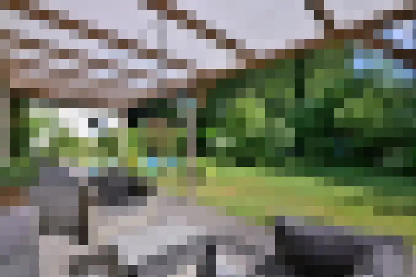 Lochemseweg 52 Epse thumbnail 34