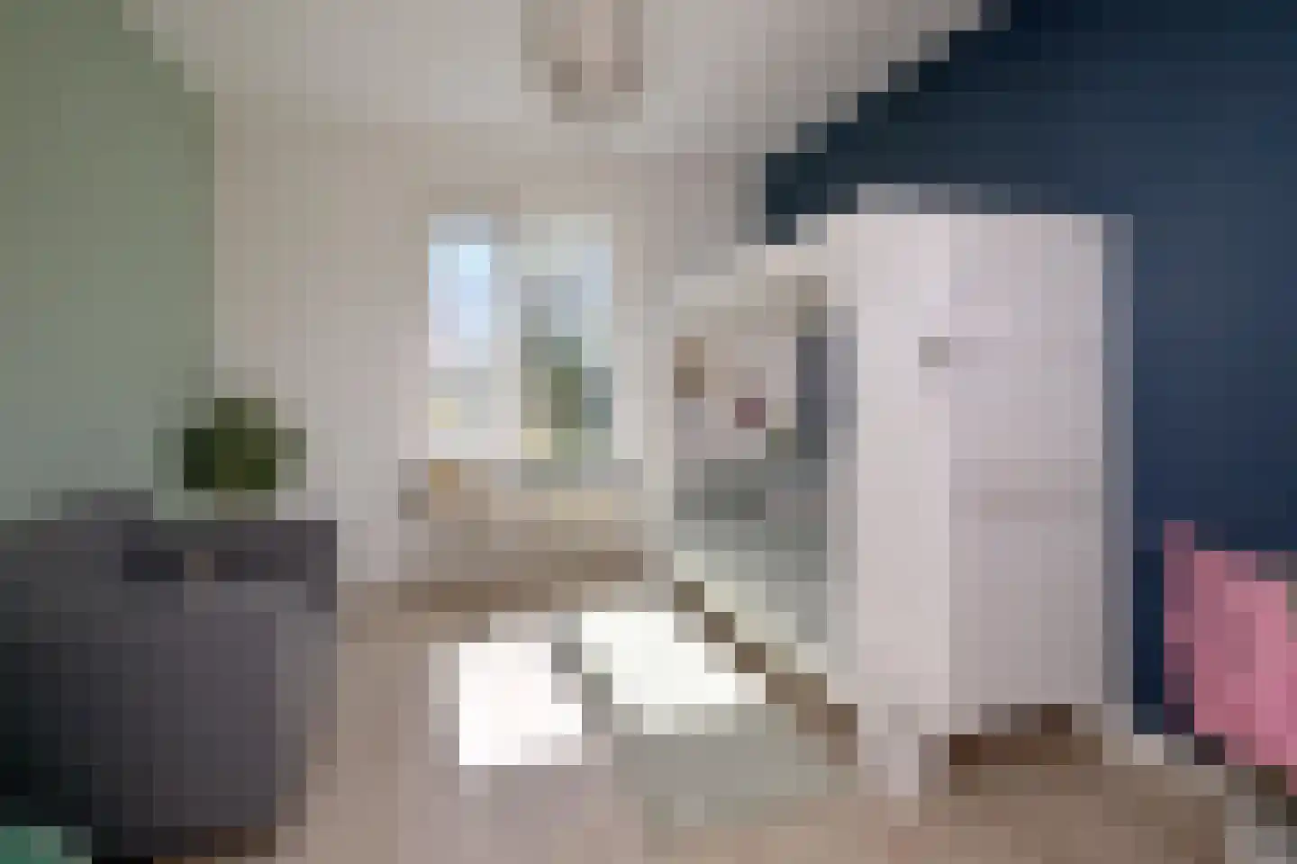 Lochemseweg 52 Epse thumbnail 39
