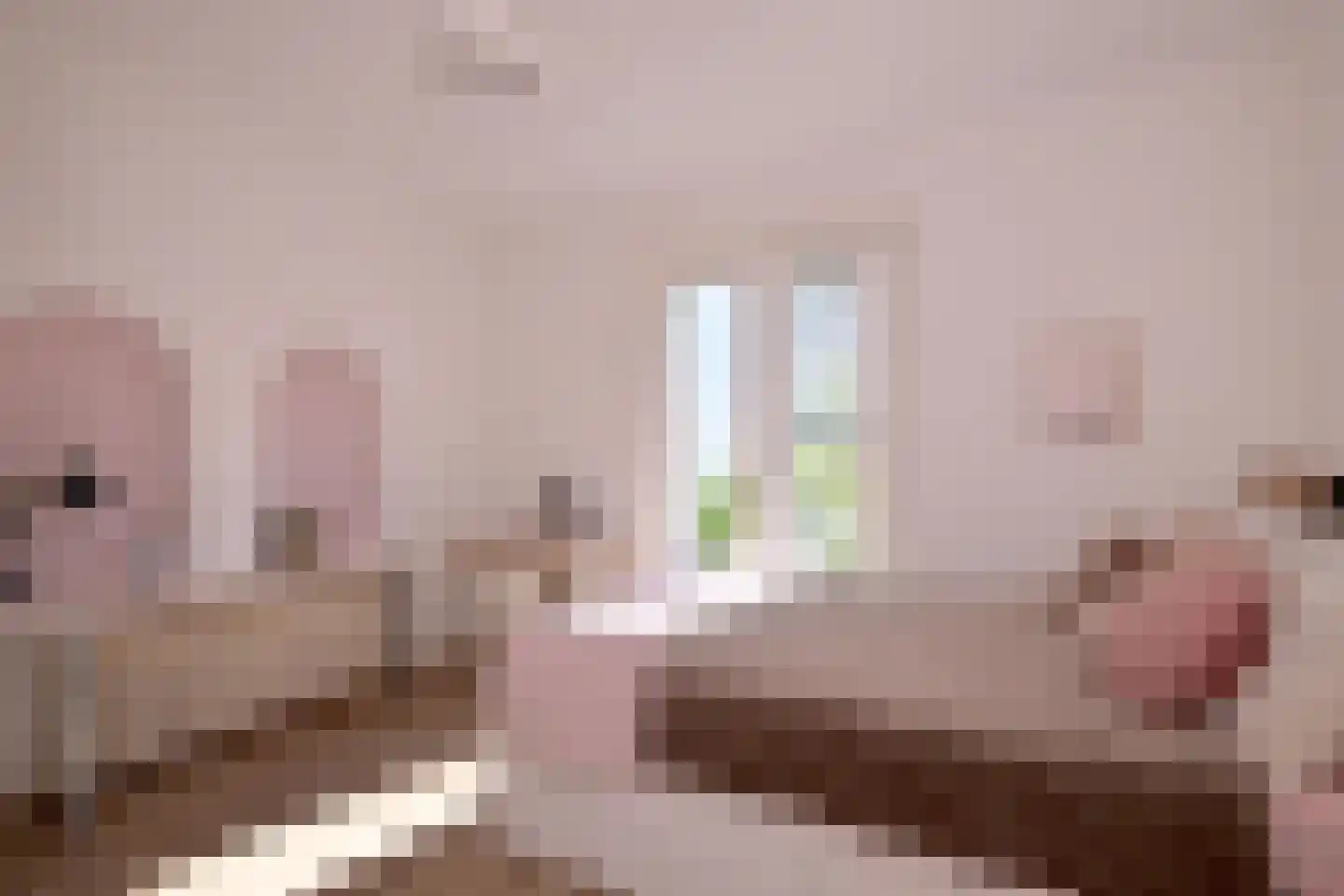 Lochemseweg 52 Epse thumbnail 40
