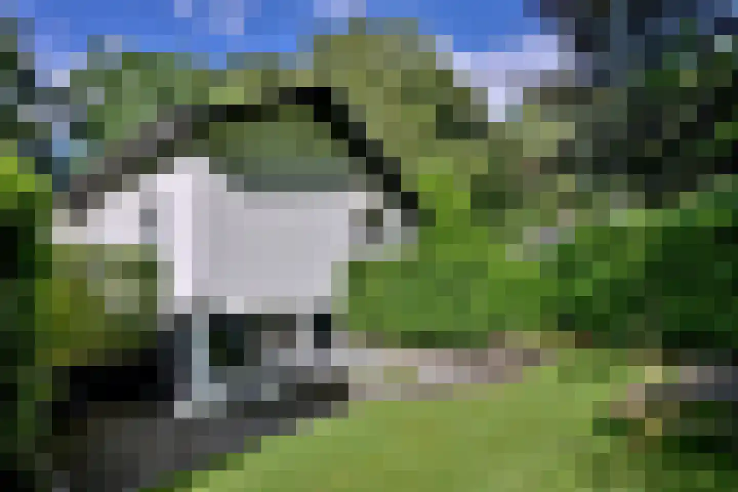 Lochemseweg 52 Epse thumbnail 51