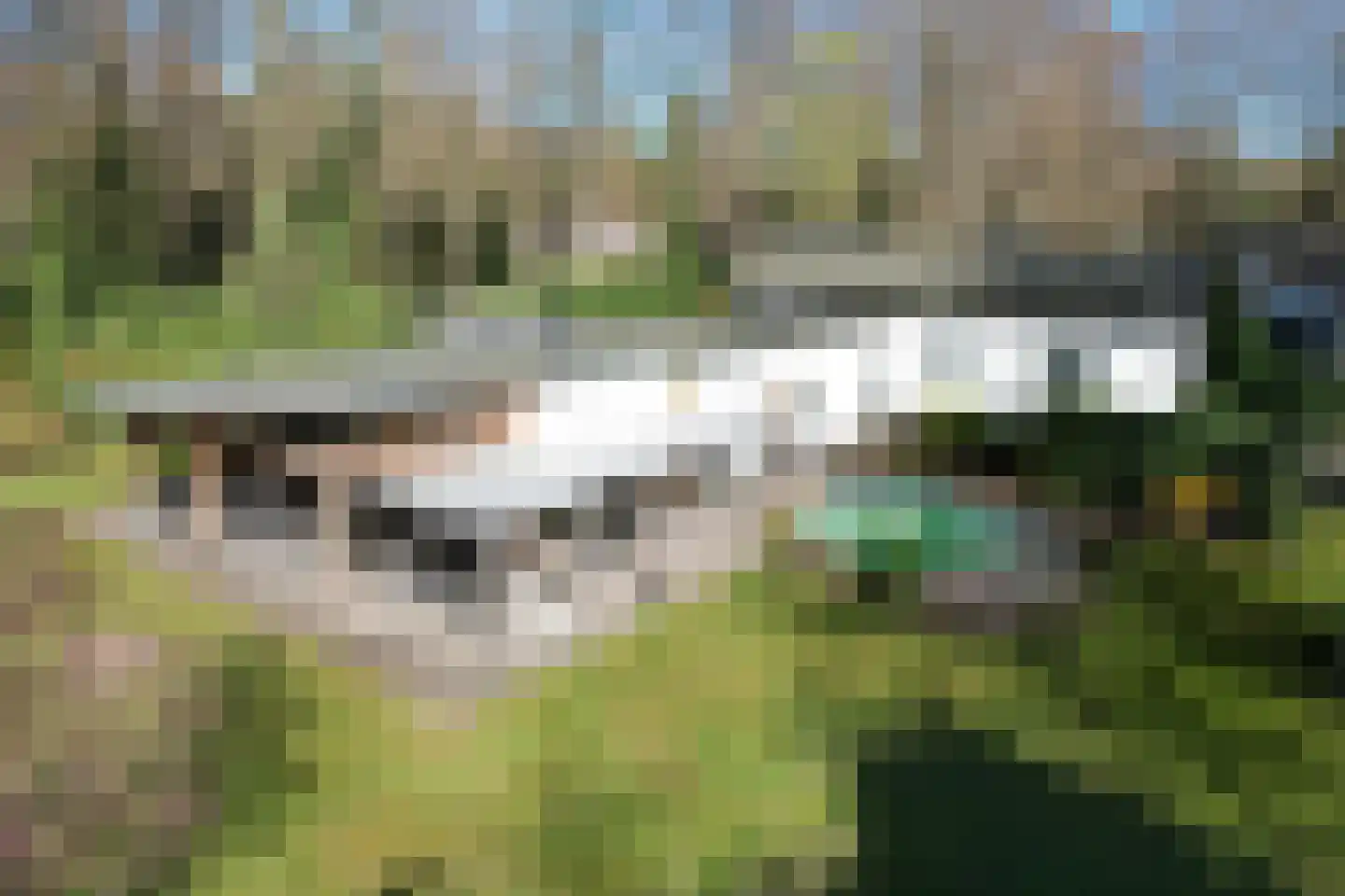Lochemseweg 52 Epse thumbnail 63
