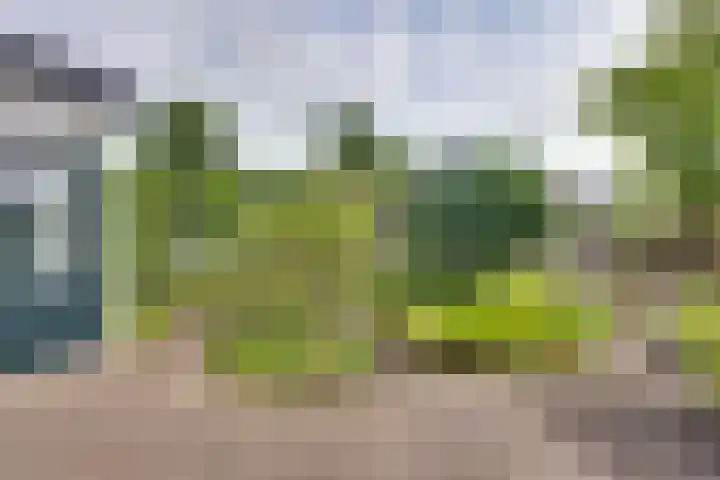 Lochemseweg 56 Borculo thumbnail 21
