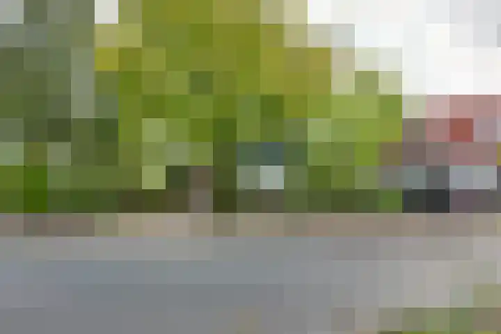 Lochemseweg 56 Borculo thumbnail 25