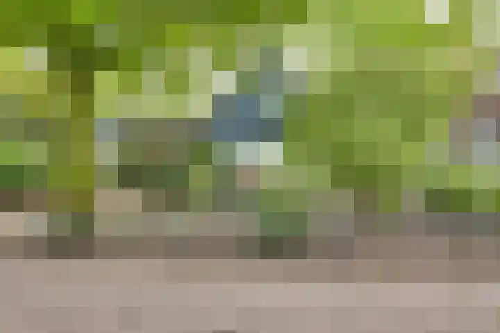 Lochemseweg 56 Borculo thumbnail 26