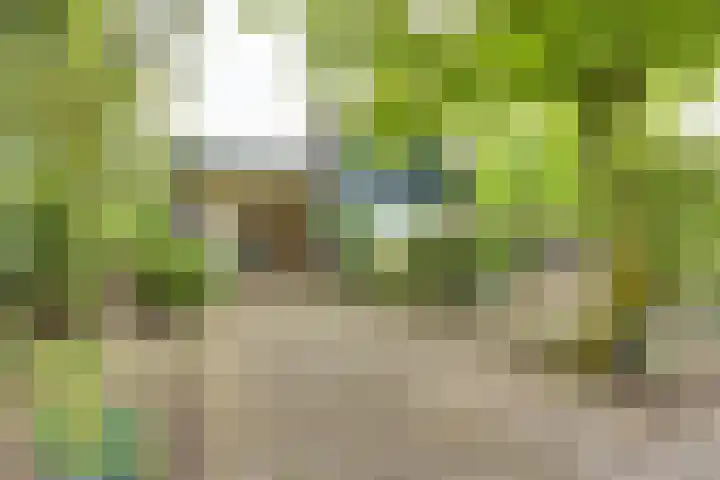 Lochemseweg 56 Borculo thumbnail 27
