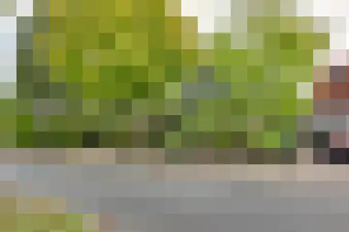 Lochemseweg 56 Borculo thumbnail 30