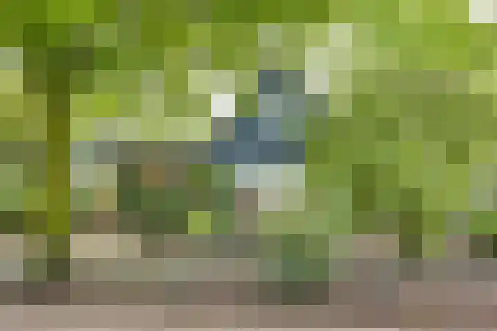 Lochemseweg 56 Borculo thumbnail 34