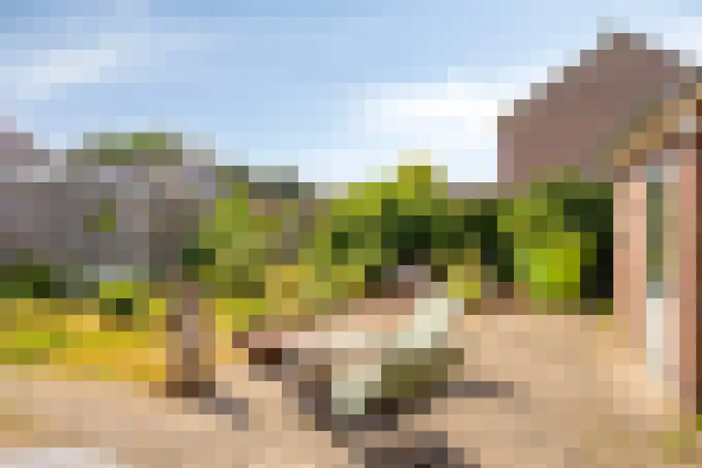 Lochemseweg 7 Barchem thumbnail 25