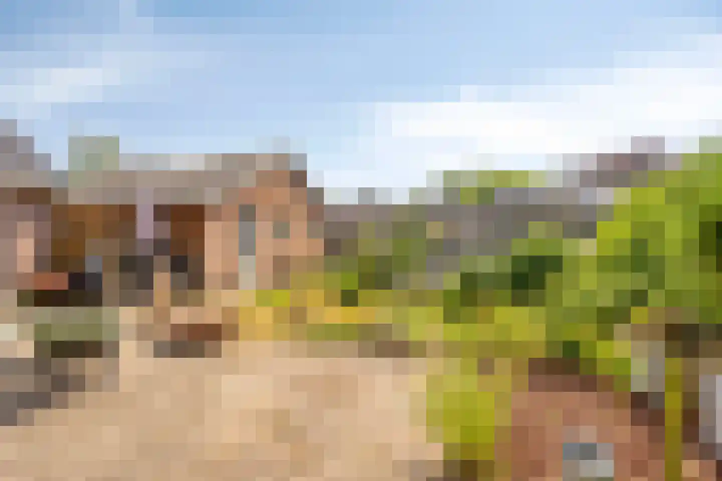 Lochemseweg 7 Barchem thumbnail 26