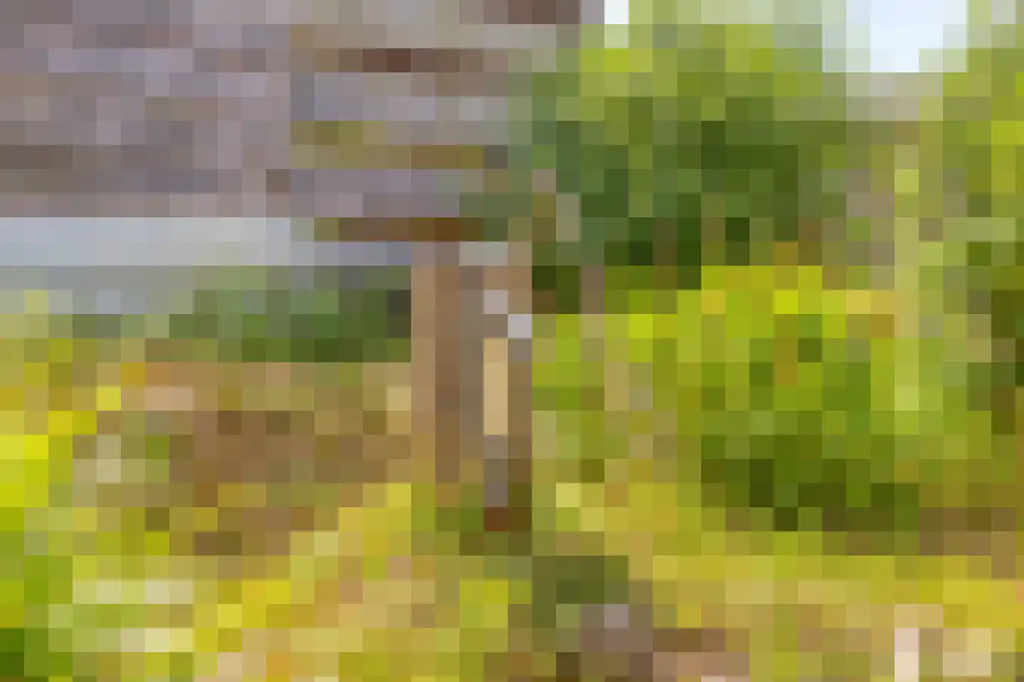 Lochemseweg 7 Barchem thumbnail 29