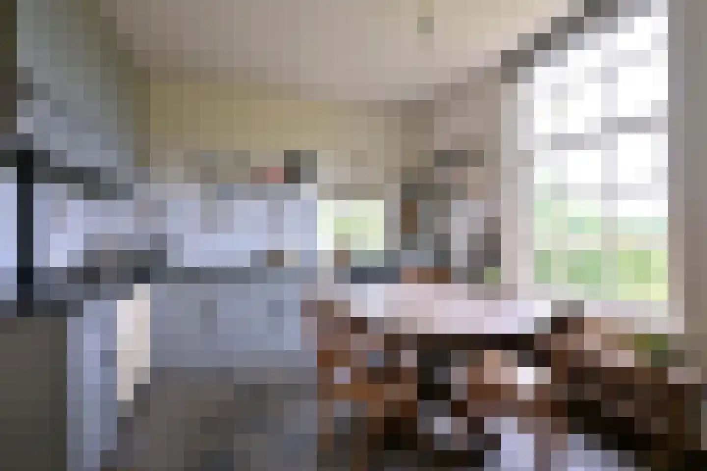 Lochemseweg 70 Joppe thumbnail 15