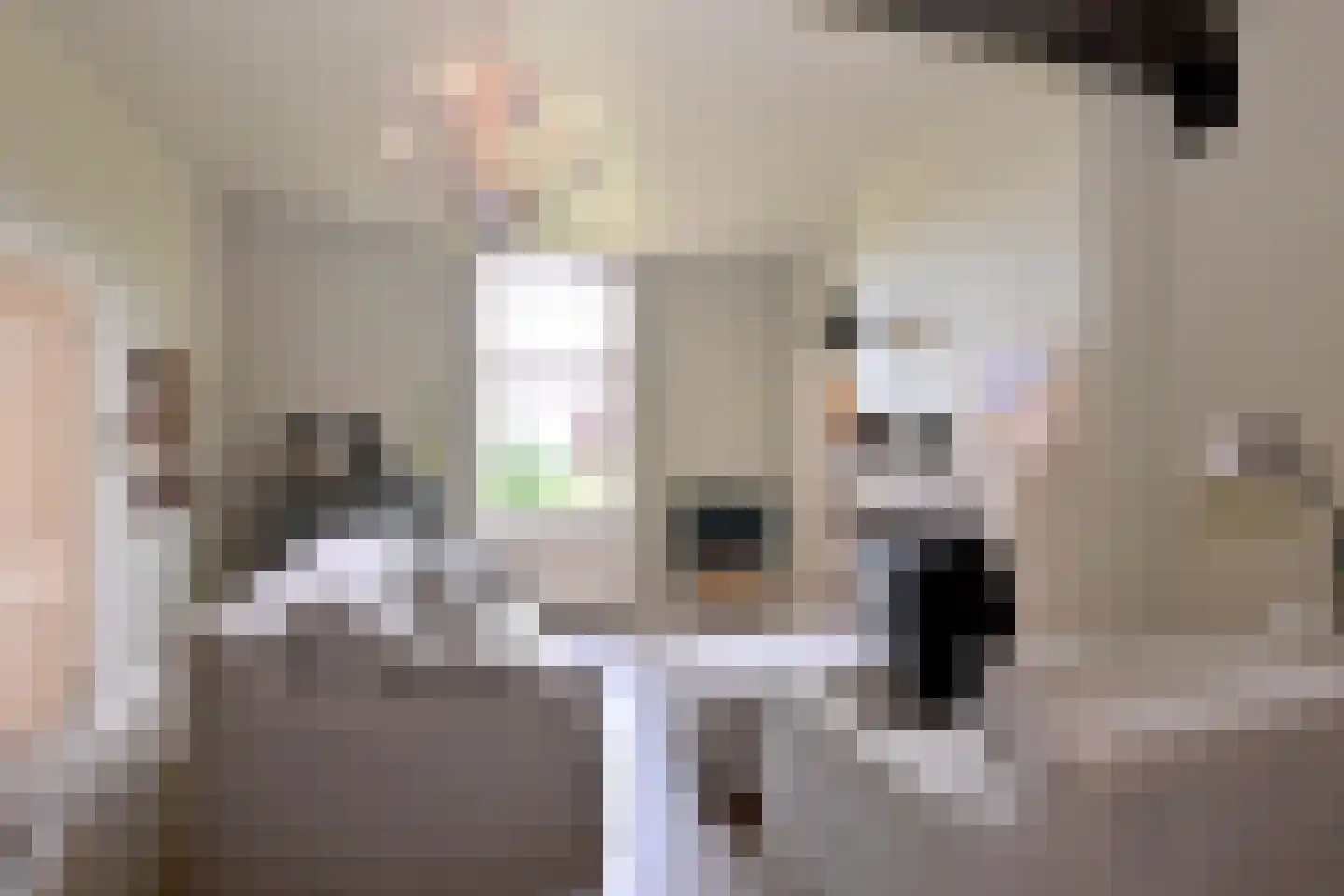 Lochemseweg 70 Joppe thumbnail 18