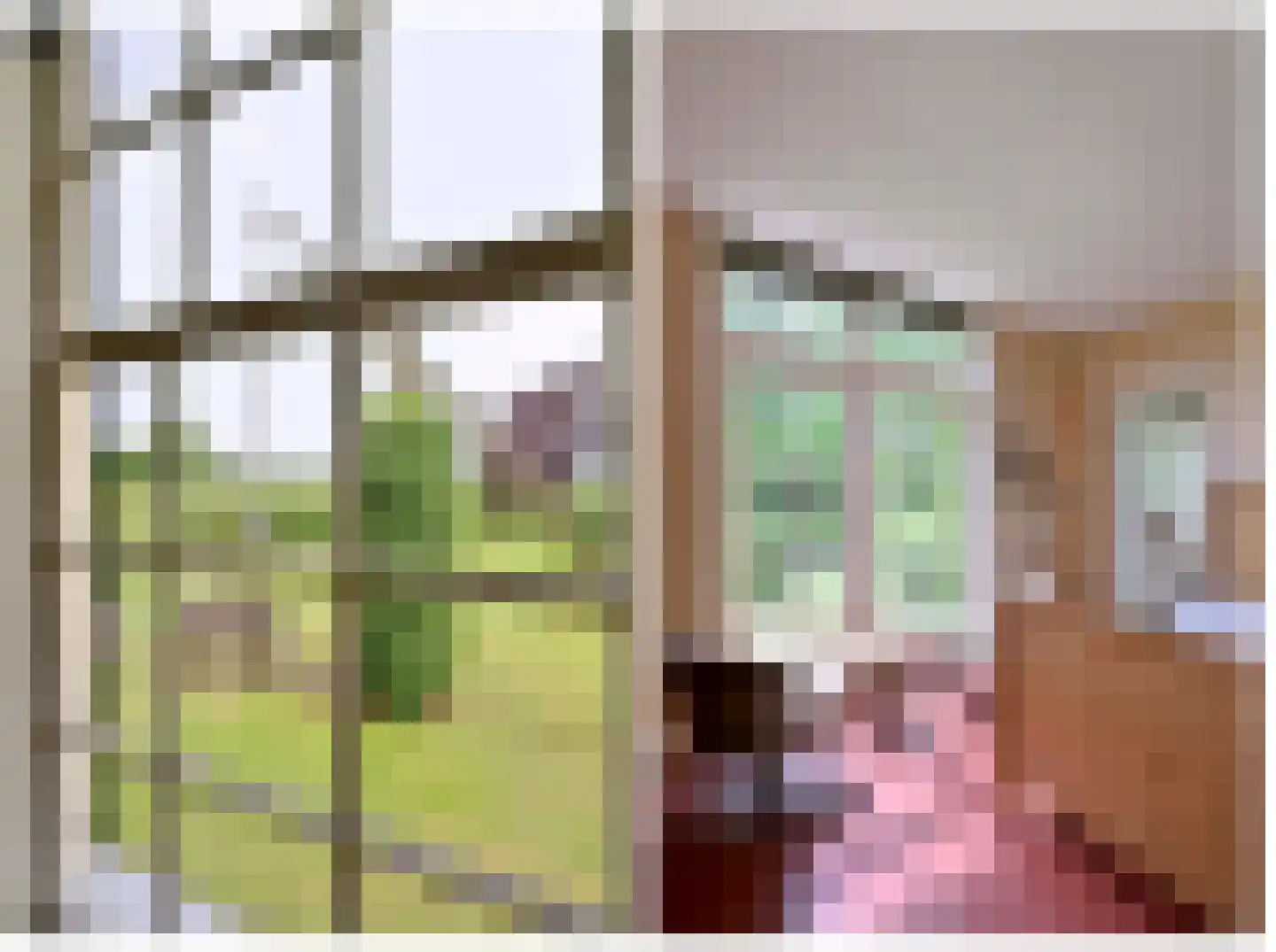 Lochemseweg 70 Joppe thumbnail 22
