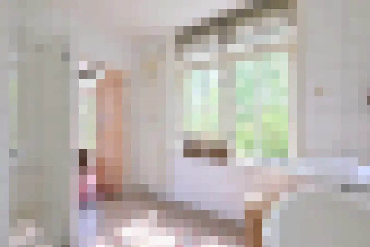 Lochemseweg 70 Joppe thumbnail 24
