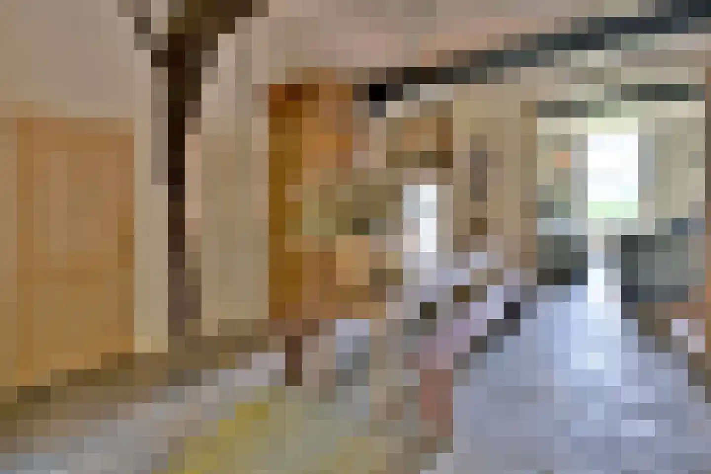 Lochemseweg 70 Joppe thumbnail 25