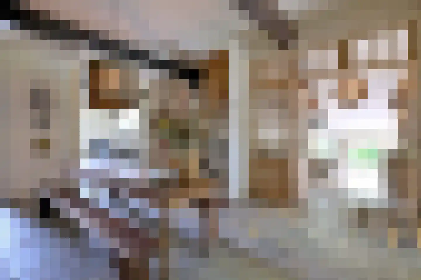 Lochemseweg 70 Joppe thumbnail 26
