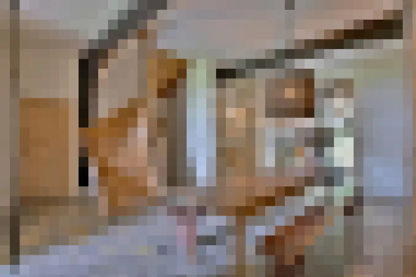 Lochemseweg 70 Joppe thumbnail 28