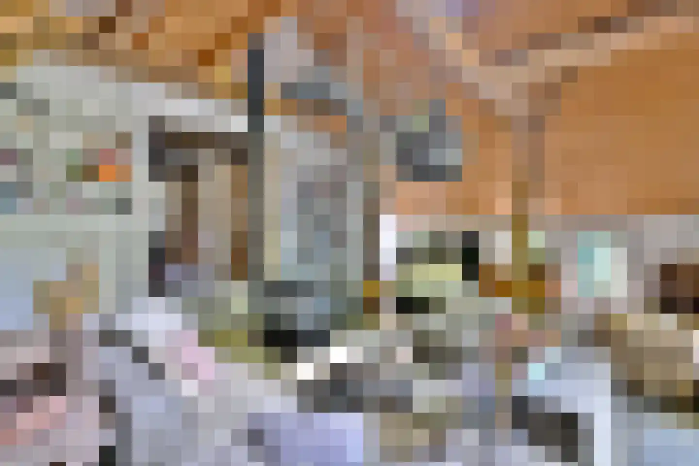 Lochemseweg 70 Joppe thumbnail 31