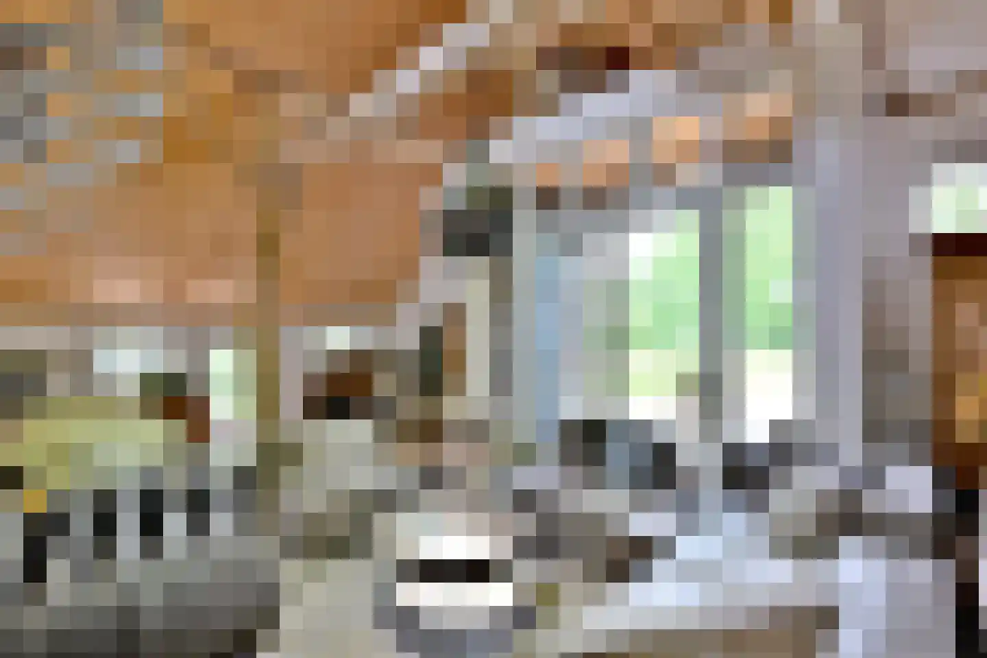 Lochemseweg 70 Joppe thumbnail 32