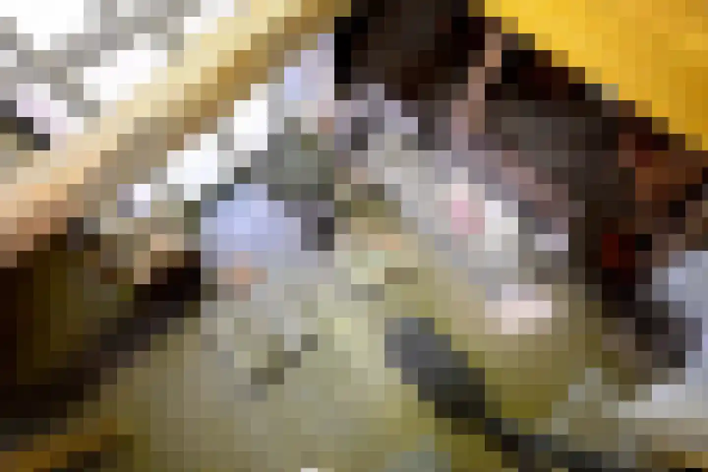 Lochemseweg 70 Joppe thumbnail 33