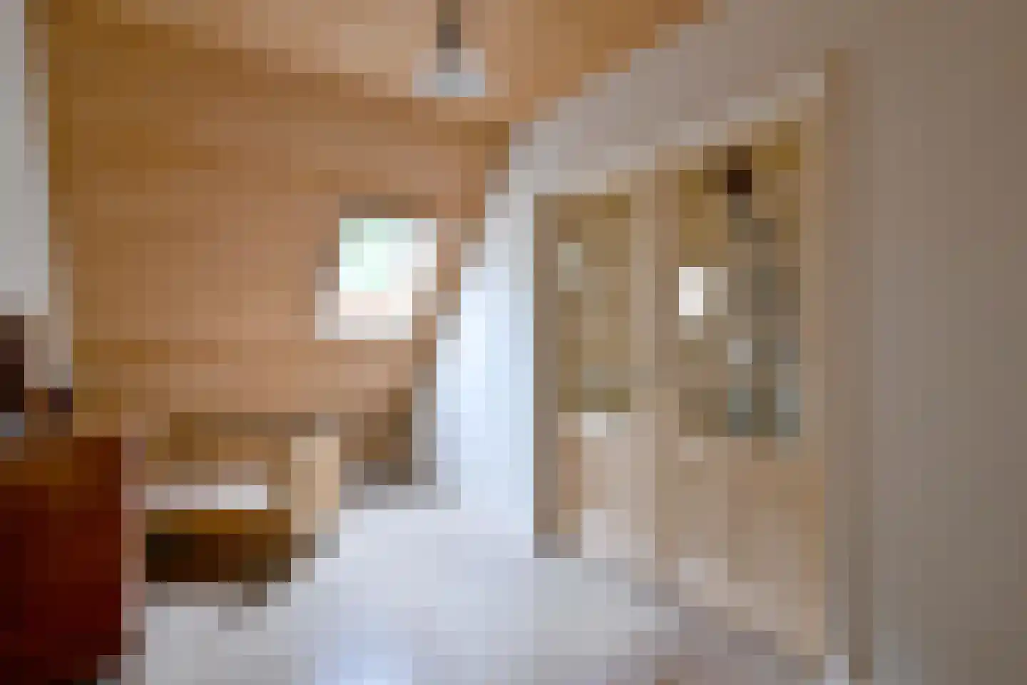 Lochemseweg 70 Joppe thumbnail 36