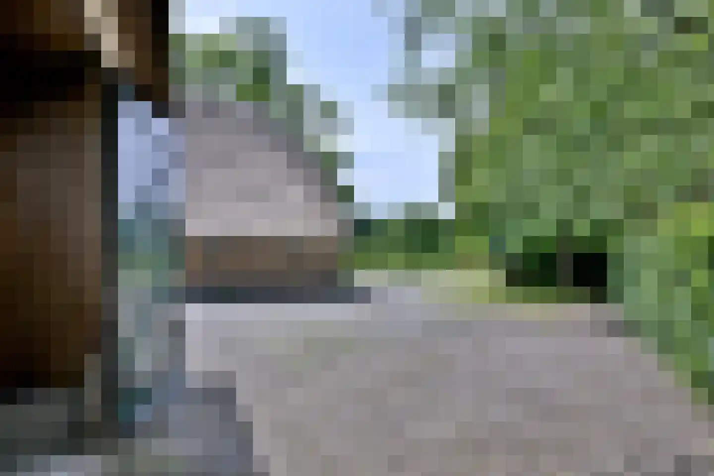 Lochemseweg 70 Joppe thumbnail 47