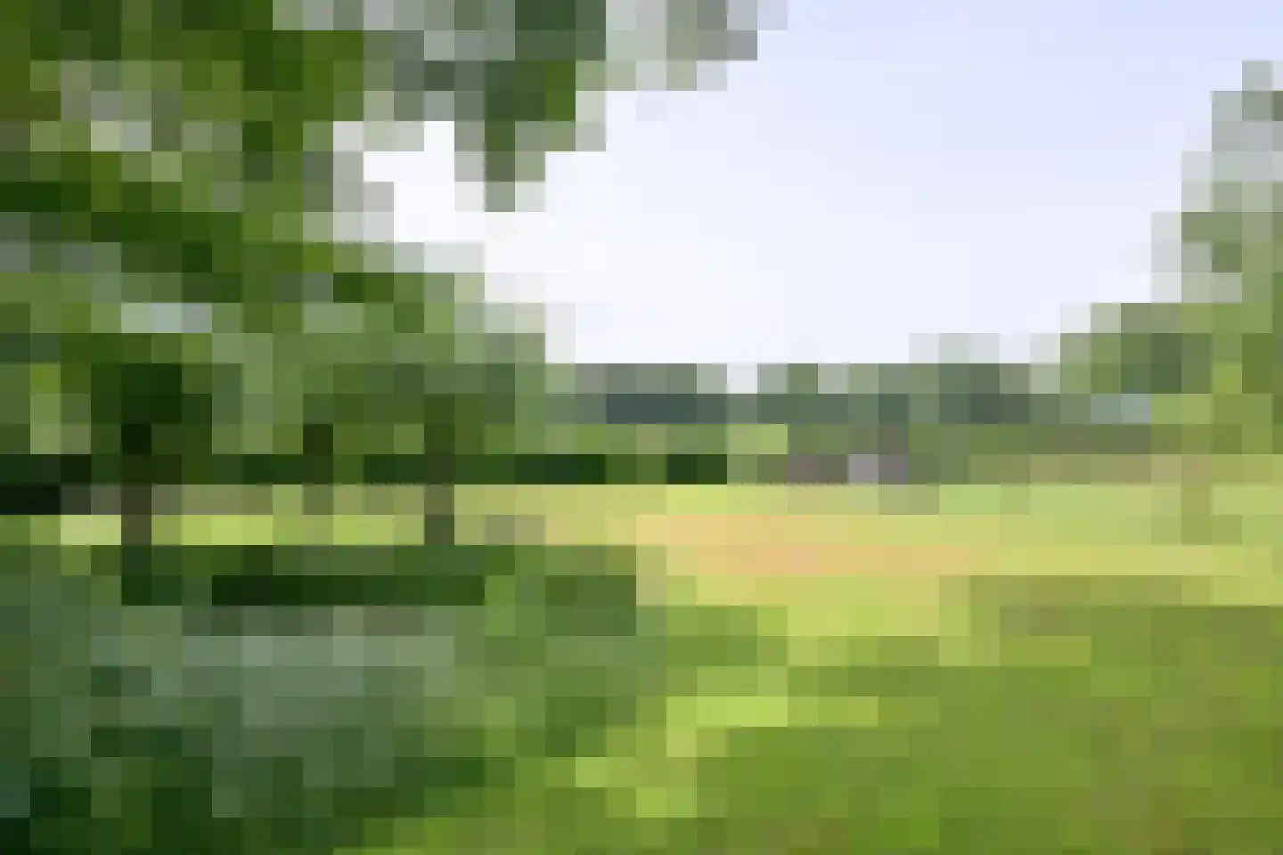 Lochemseweg 70 Joppe thumbnail 48