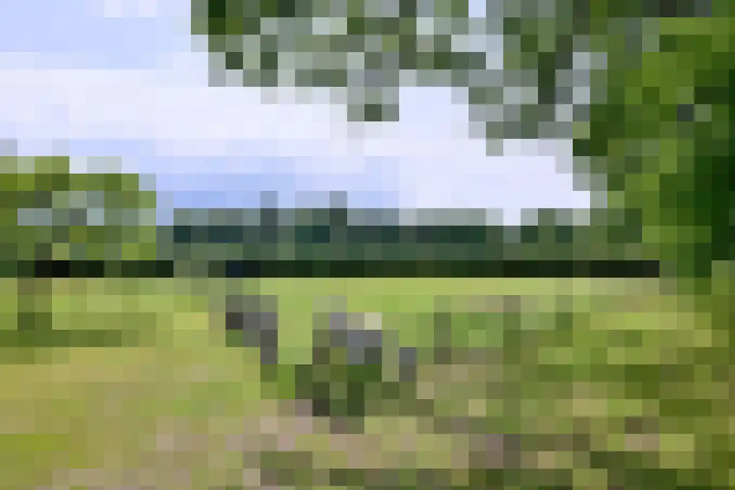 Lochemseweg 70 Joppe thumbnail 49