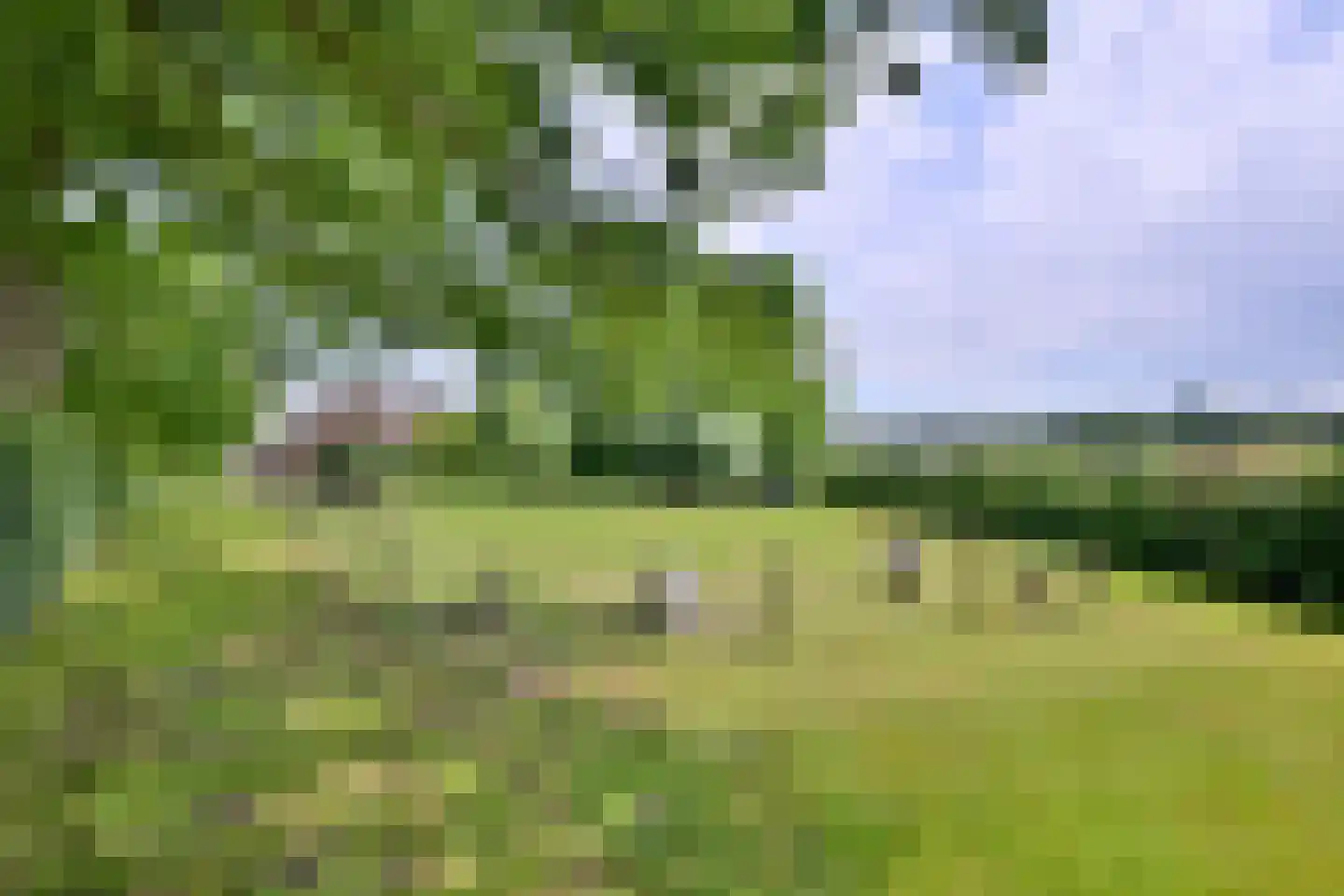 Lochemseweg 70 Joppe thumbnail 50