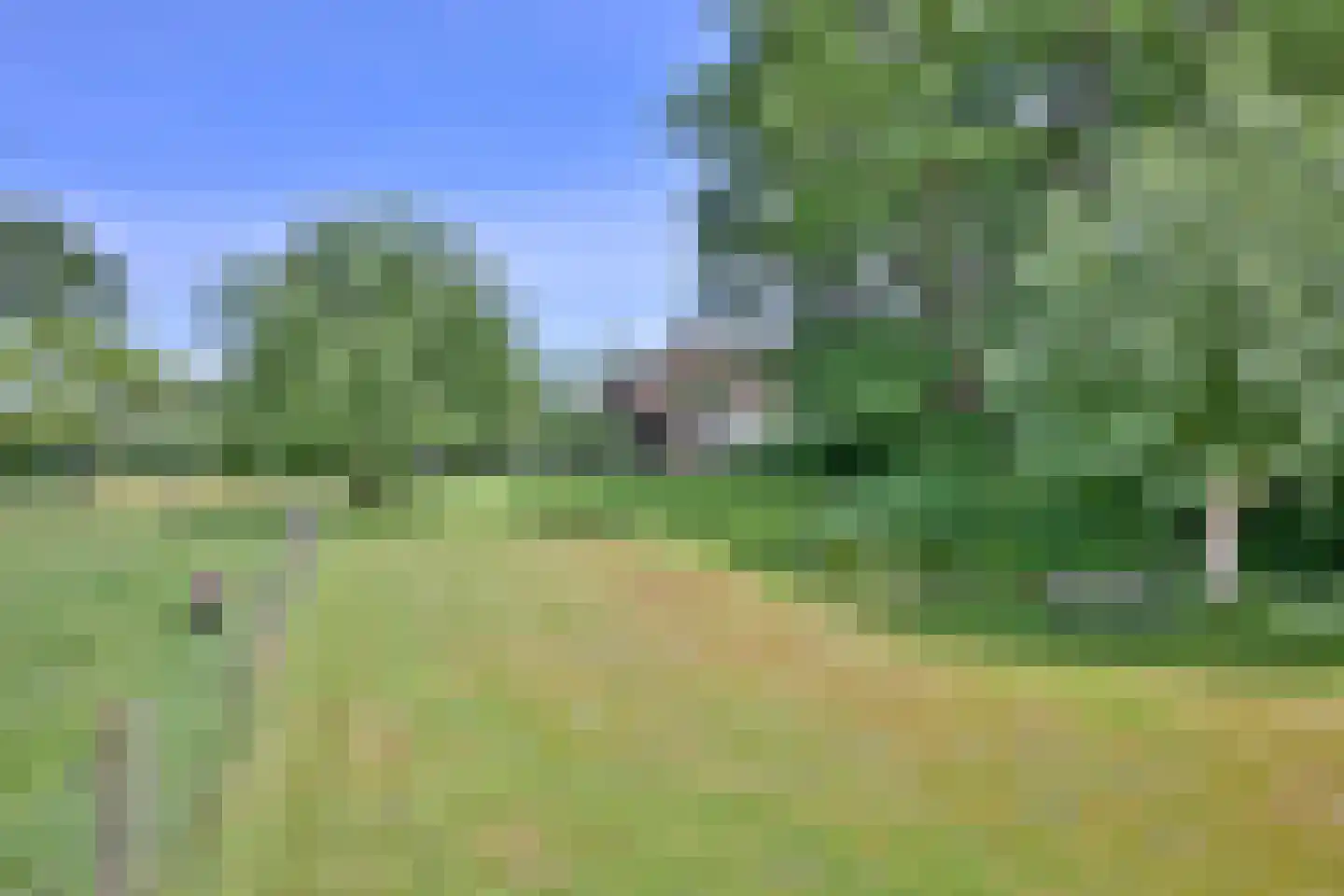 Lochemseweg 70 Joppe thumbnail 51