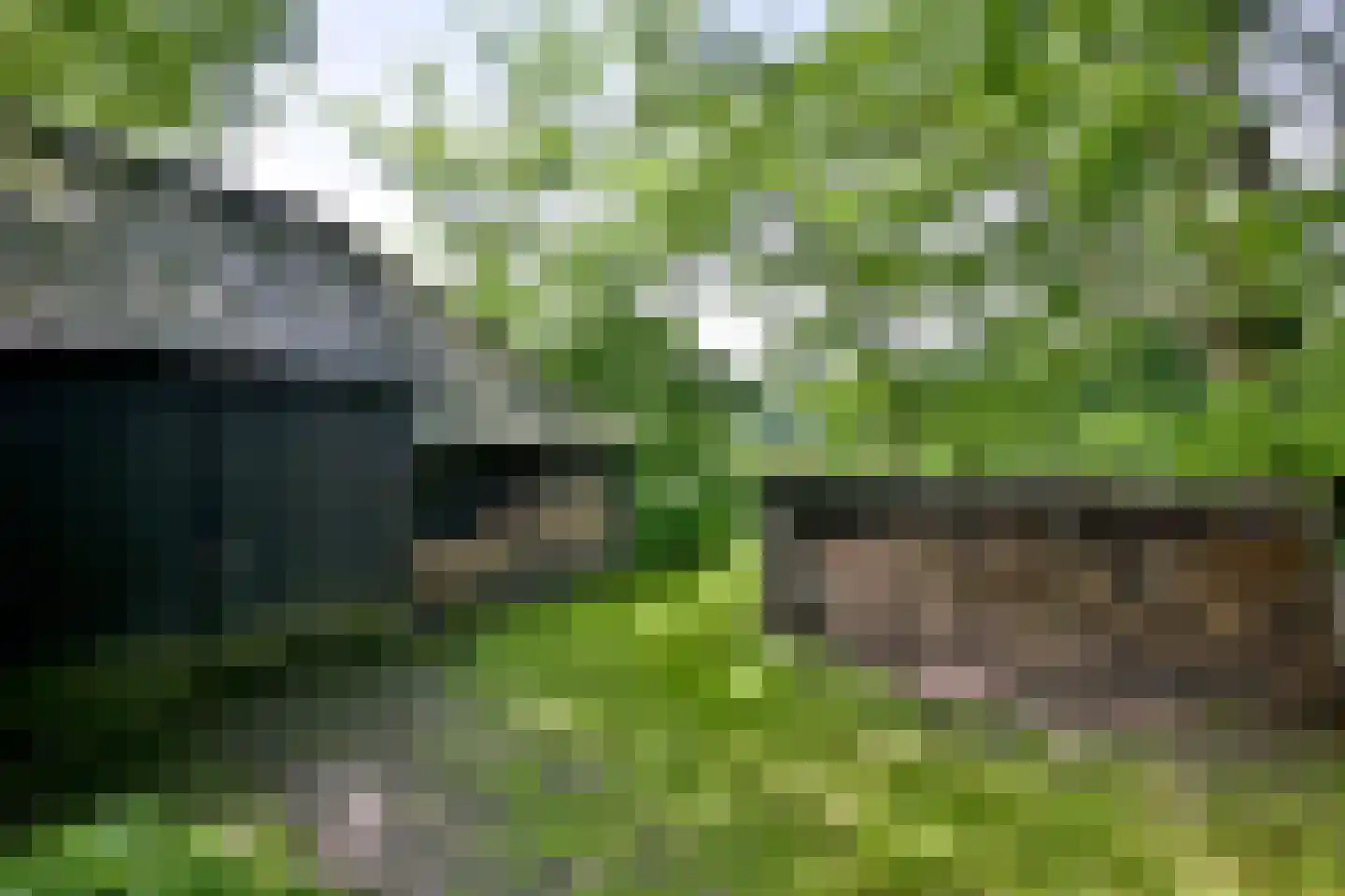 Lochemseweg 70 Joppe thumbnail 55